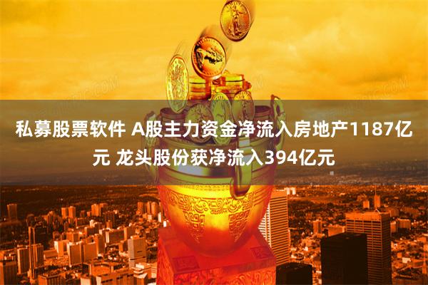 私募股票软件 A股主力资金净流入房地产1187亿元 龙头股份获净流入394亿元